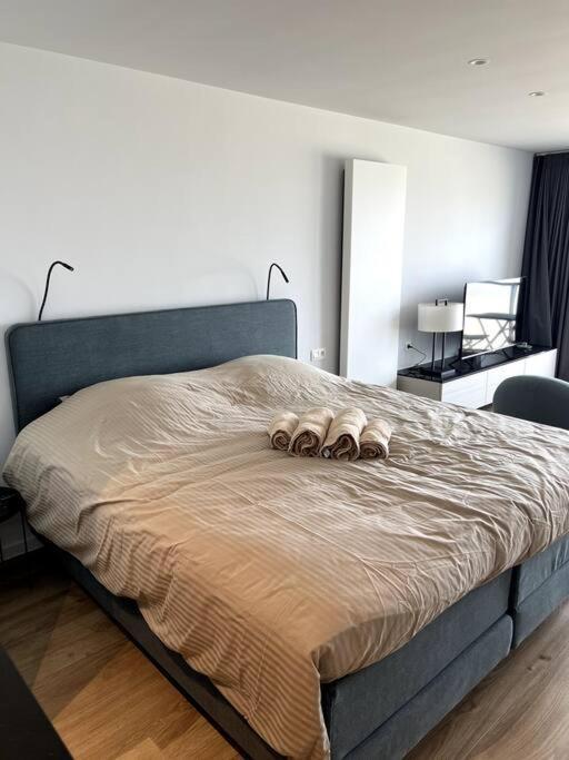 Suite 16 Blankenberge Exterior foto